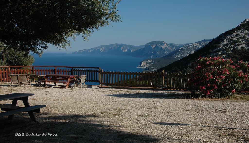 Agriturismo Codula Fuili Villa Cala Gonone Cameră foto